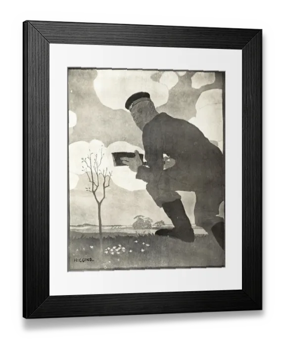 Framed Print : The Sapling Framed Print : The Sapling