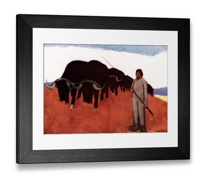 Framed Print : Oxen Ploughing Framed Print : Oxen Ploughing
