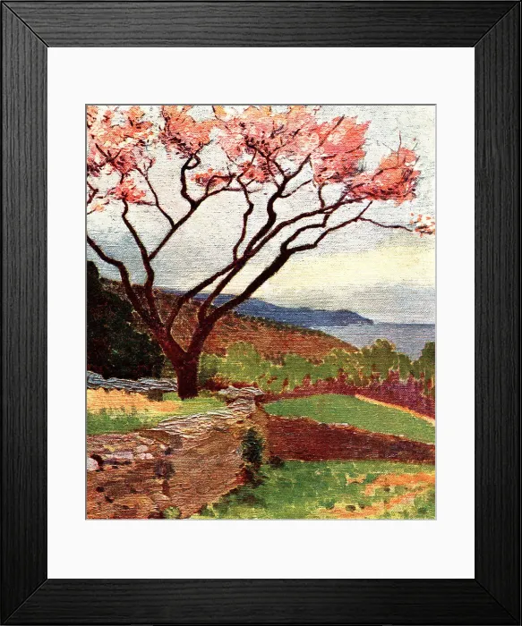 Framed Print : Blossoming Tree Framed Print : Blossoming Tree