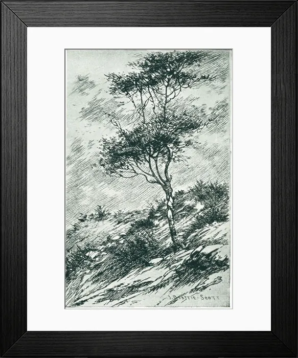 Framed Print : Tree in a Gusty Wind Framed Print : Tree in a Gusty Wind