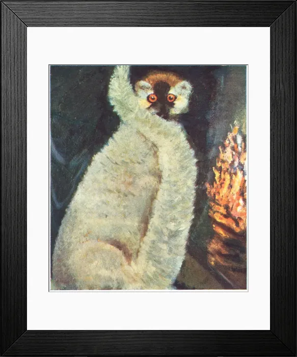 Framed Print : The Lemur. This painting captures the soft textured fur of a lemur Framed Print : The Lemur. This painting captures the soft textured fur of a lemur