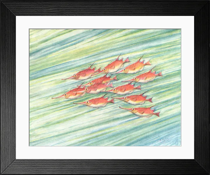 Framed Print : On The Road To Callao Framed Print : On The Road To Callao