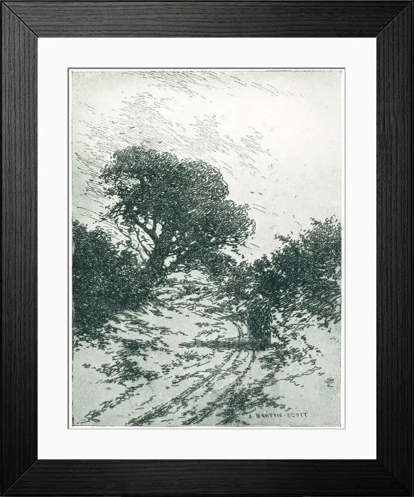 Framed Print : A Quiet Country Road Framed Print : A Quiet Country Road