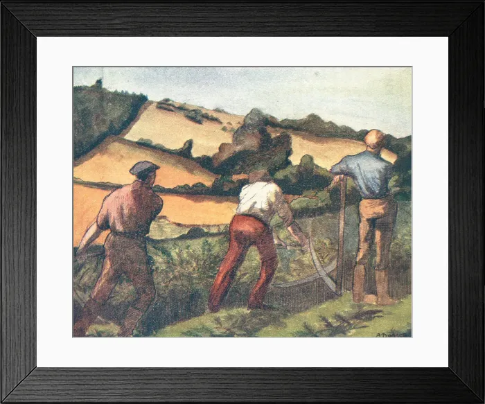 Framed Print : Cutting Bracken Framed Print : Cutting Bracken