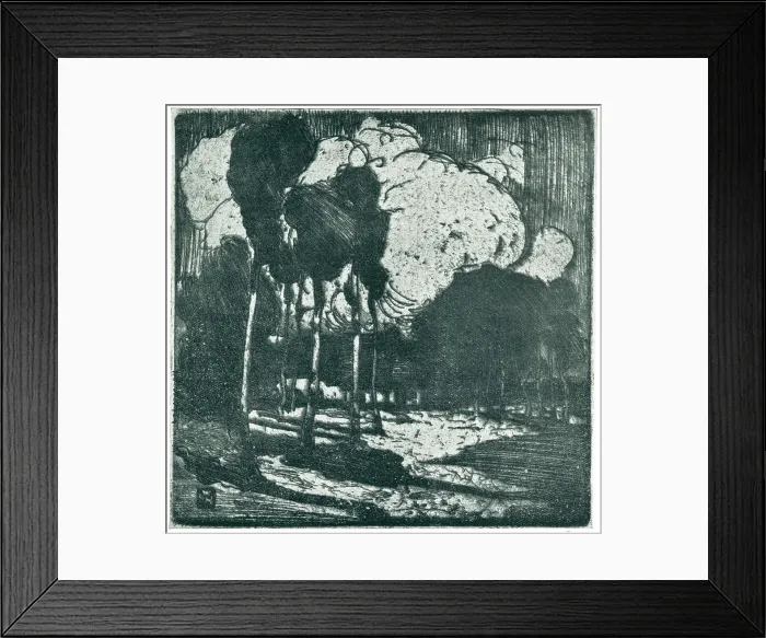 Framed Print : Forest Clouds Framed Print : Forest Clouds