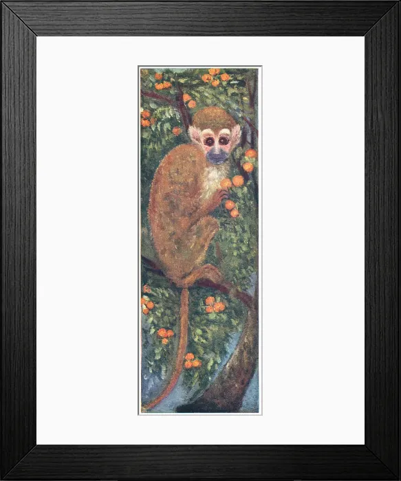 Framed Print : Squirrel Monkey Framed Print : Squirrel Monkey