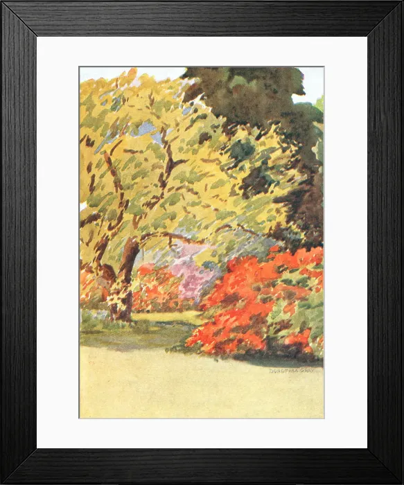 Framed Print : Garden Flora Framed Print : Garden Flora