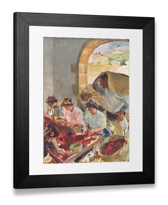 Framed Print : The Preparation Of Dry Grapes Framed Print : The Preparation Of Dry Grapes