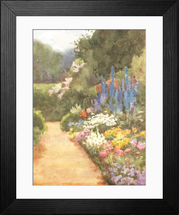 Framed Print : Flower Bed Framed Print : Flower Bed