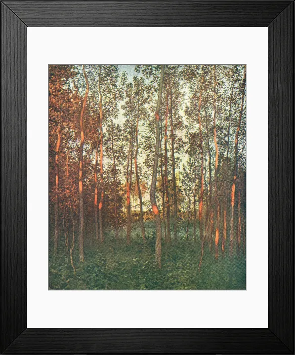 Framed Print : The Last Rays Framed Print : The Last Rays