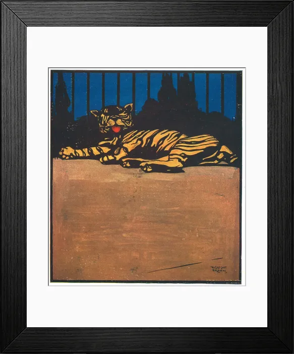 Framed Print : Caged Tiger Framed Print : Caged Tiger