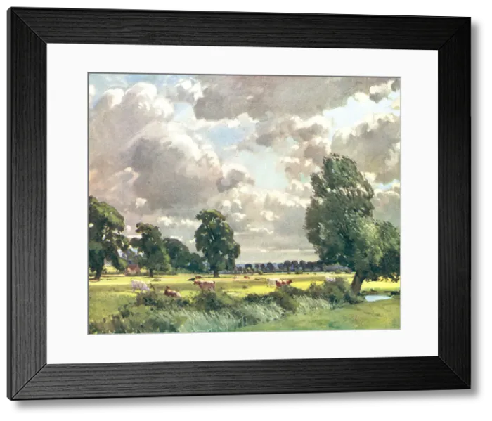 Framed Print : The Cow Pasture Framed Print : The Cow Pasture