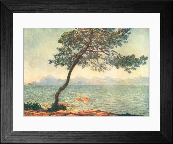 Framed Print : Pine Tree, Cape Of Antibes Framed Print : Pine Tree, Cape Of Antibes