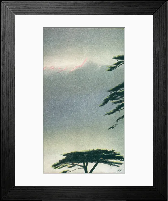 Framed Print : Tree Top. A landscape painting which unusually shows the very top of a Framed Print : Tree Top. A landscape painting which unusually shows the very top of a