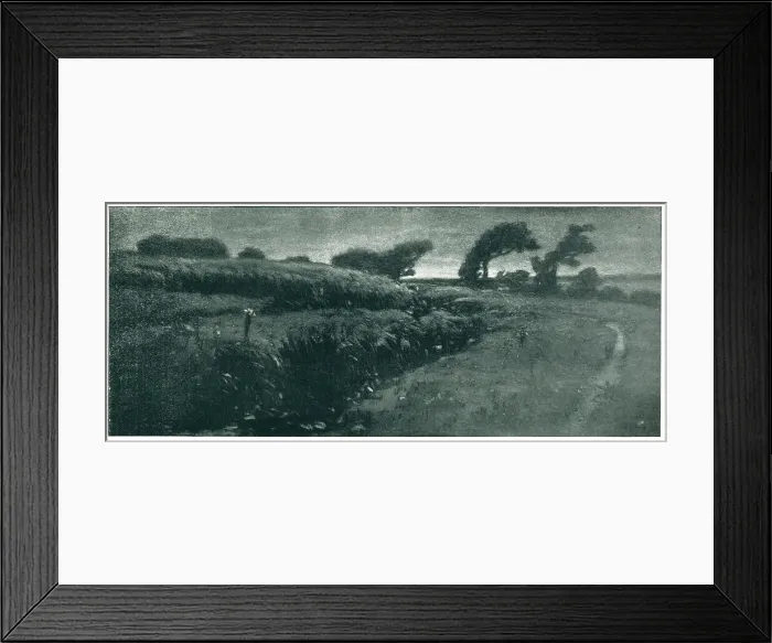 Framed Print : A Bit Of Windswept Country Near The Sea Framed Print : A Bit Of Windswept Country Near The Sea