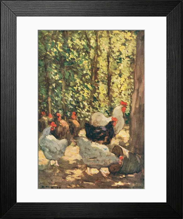 Framed Print : Fowls In Sunlight Framed Print : Fowls In Sunlight