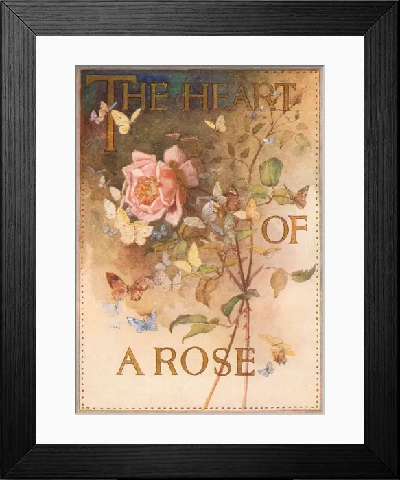 Framed Print : Dubarry The Heart Of A Rose Advertisement Framed Print : Dubarry The Heart Of A Rose Advertisement