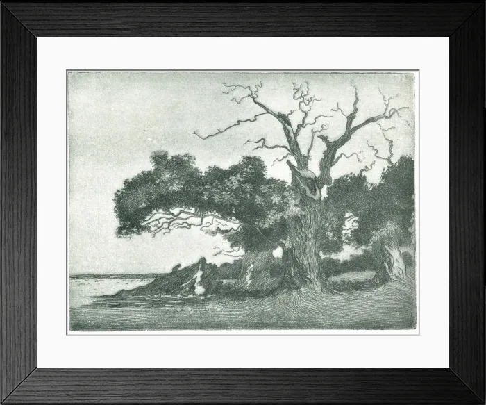 Framed Print : The Last Light Of Evening Framed Print : The Last Light Of Evening