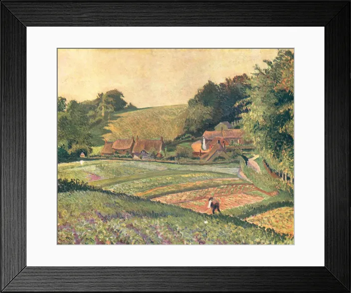 Framed Print : The Allotments Green, East Knoyle Framed Print : The Allotments Green, East Knoyle
