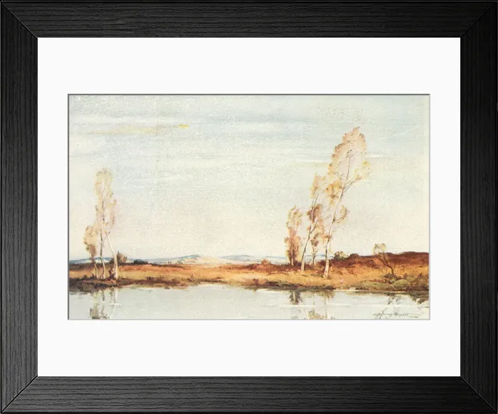 Framed Print : Landscape. A landscape painting of some slender trees on the bank of a river Framed Print : Landscape. A landscape painting of some slender trees on the bank of a river