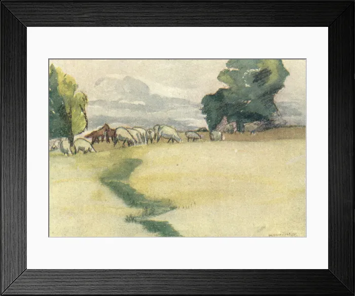 Framed Print : Sheep and Horses Framed Print : Sheep and Horses