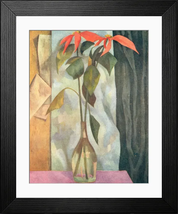 Framed Print : Poinsettia Framed Print : Poinsettia