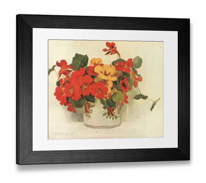 Framed Print : Nasturiums Framed Print : Nasturiums