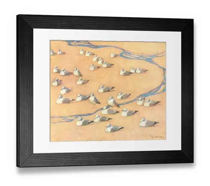 Framed Print : Gulls. An oil painting of a flock of seagulls nestled in the sand Framed Print : Gulls. An oil painting of a flock of seagulls nestled in the sand