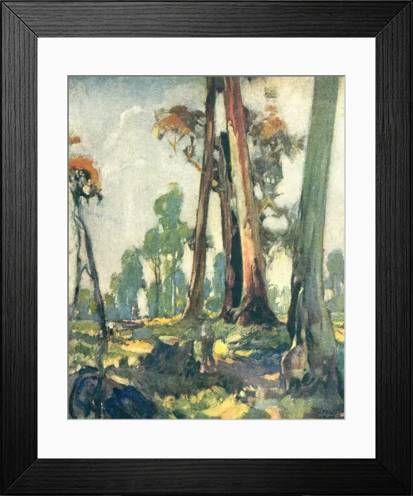 Framed Print : The Edge Of The Bush Framed Print : The Edge Of The Bush