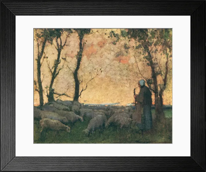 Framed Print : Shepherding The Flock Framed Print : Shepherding The Flock