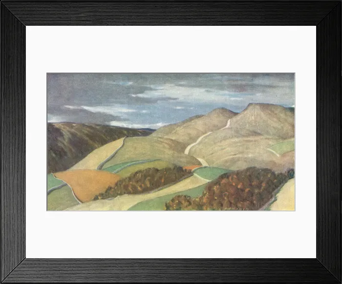 Framed Print : Black Hill Moss Framed Print : Black Hill Moss