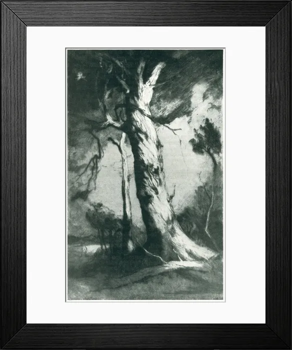 Framed Print : The Monarch Framed Print : The Monarch