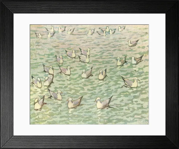 Framed Print : Gulls On Water Framed Print : Gulls On Water