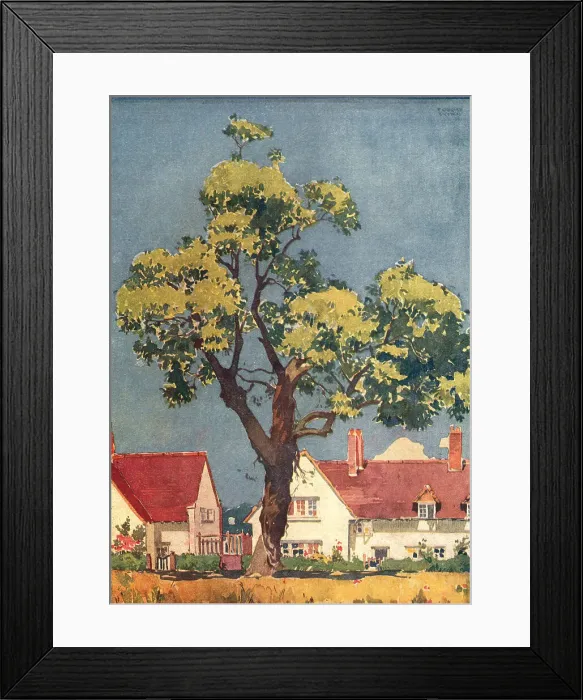 Framed Print : Large Tree Outside Houses