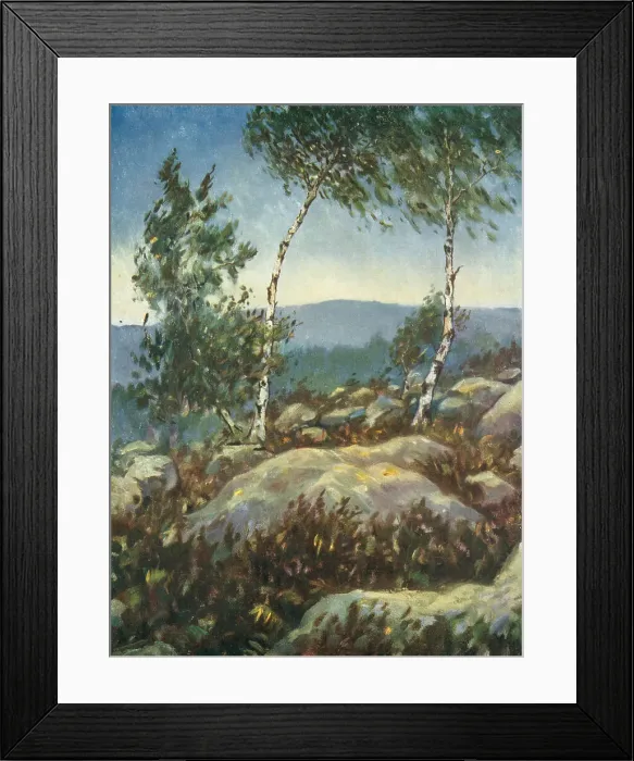 Framed Print : The Two Birch Trees Framed Print : The Two Birch Trees