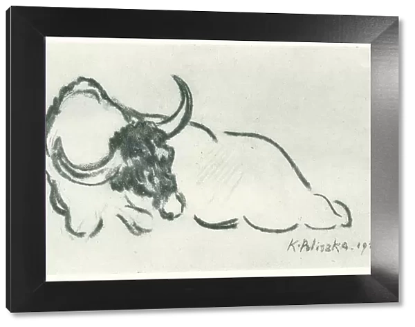 Bull. A drawing of a resting bull with great horns. Date: 1920