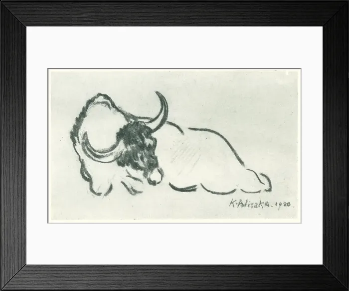 Framed Print : Bull. A drawing of a resting bull with great horns. Date: 1920 Framed Print : Bull. A drawing of a resting bull with great horns. Date: 1920