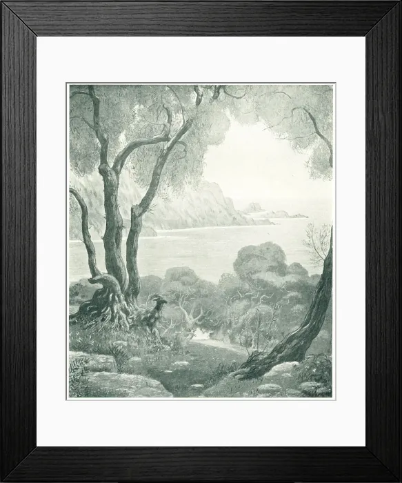 Framed Print : Decoration Framed Print : Decoration