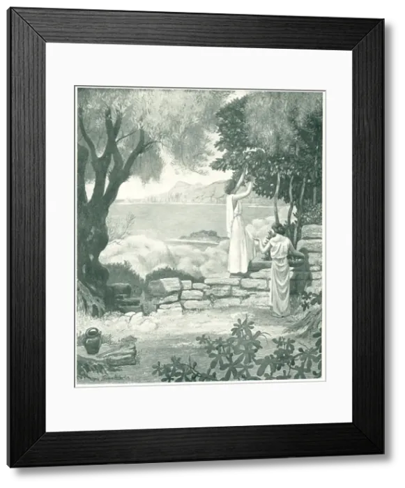 Framed Print : Decoration Framed Print : Decoration