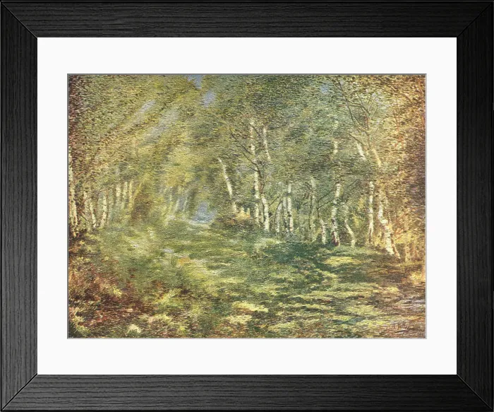 Framed Print : Beech Avenue Framed Print : Beech Avenue