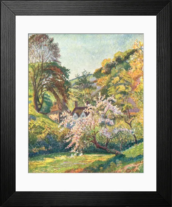 Framed Print : Colourful Landscape Framed Print : Colourful Landscape