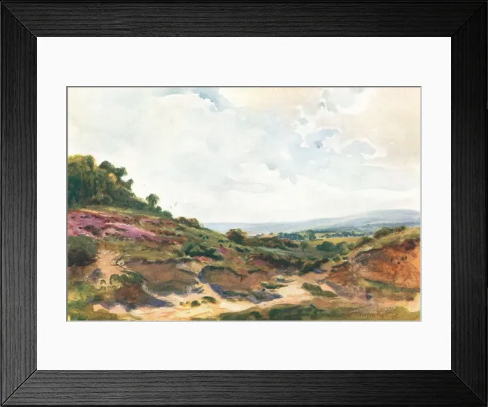 Framed Print : Landscape. A landscape watercolour painting of a dirt path withbanks of grass, wildflowers Framed Print : Landscape. A landscape watercolour painting of a dirt path withbanks of grass, wildflowers
