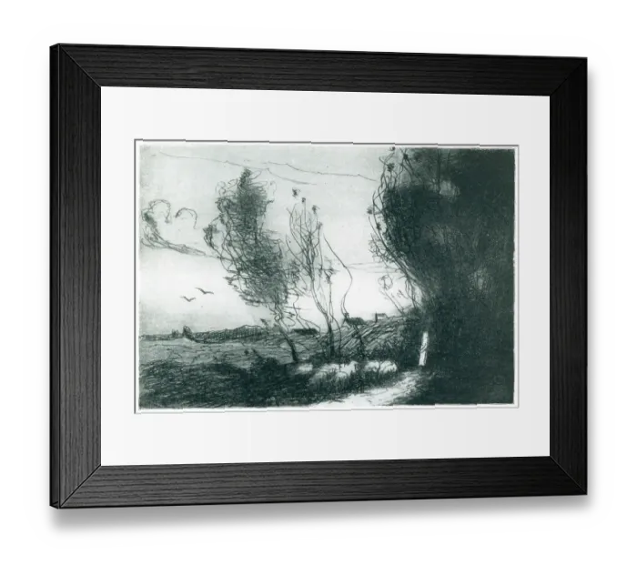 Framed Print : Windy Weather Framed Print : Windy Weather