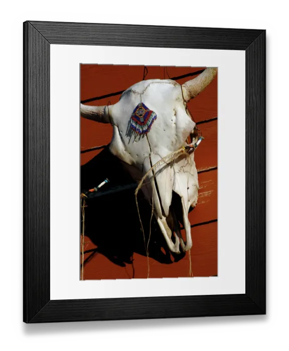 Framed Print : Skull of an animal ornamenting the roof of a house. Cuba Framed Print : Skull of an animal ornamenting the roof of a house. Cuba