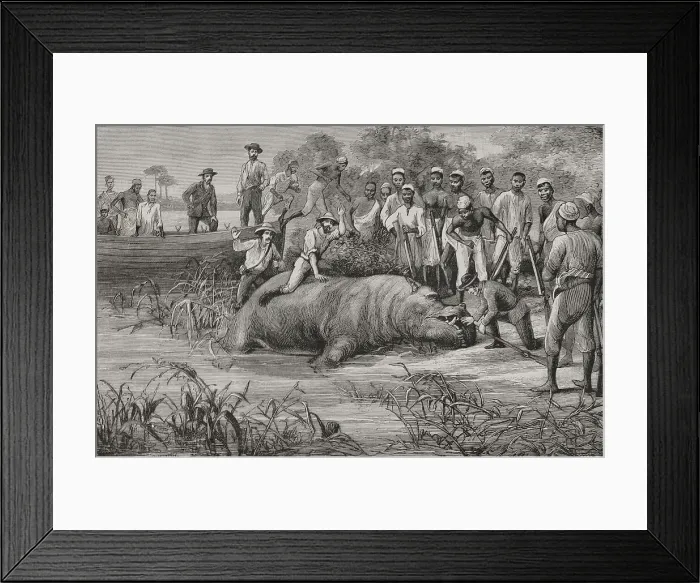 Framed Print : Africa. European exploration of the Congo? Framed Print : Africa. European exploration of the Congo?