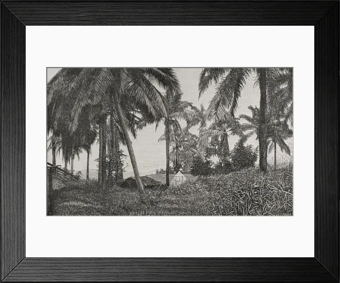 Framed Print : Vegetation on the right bank of the Congo River at Chionzo Framed Print : Vegetation on the right bank of the Congo River at Chionzo