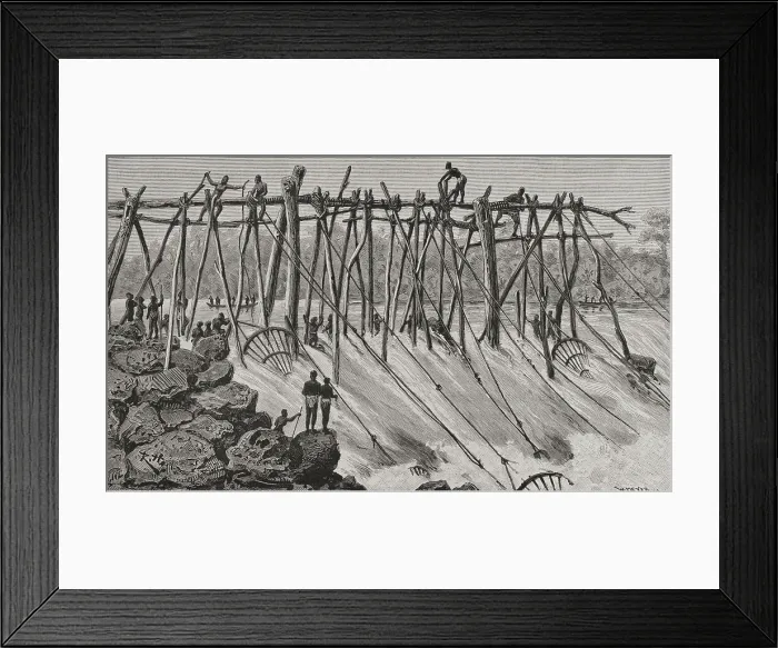 Framed Print : Congo. Fishermen Wagenya preparing their wooden tripods Framed Print : Congo. Fishermen Wagenya preparing their wooden tripods