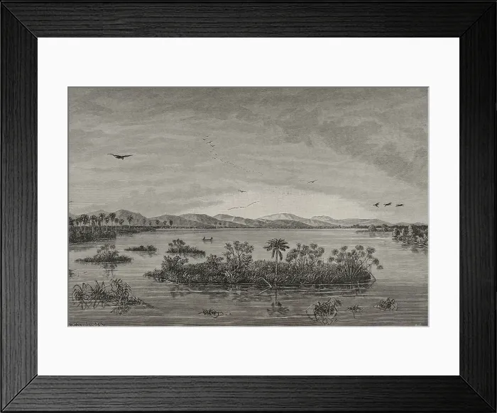 Framed Print : Africa. Floating islands in the Upper Congo Framed Print : Africa. Floating islands in the Upper Congo