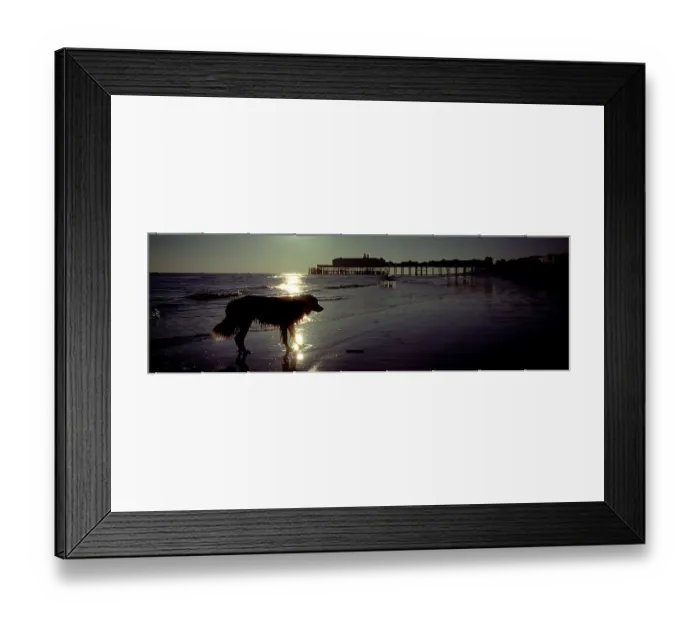 Framed Print : Dog and pier seaside Hastings, East Sussex, England Framed Print : Dog and pier seaside Hastings, East Sussex, England