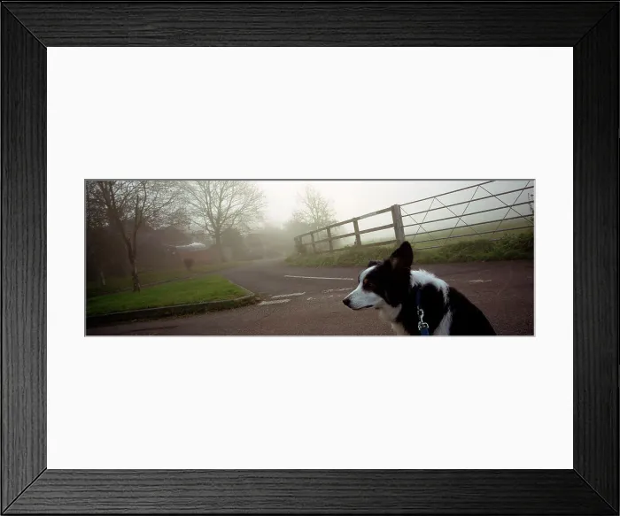 Framed Print : Landscape Panorama Framed Print : Landscape Panorama